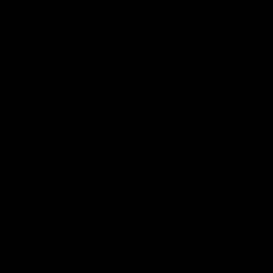 Meet your Posher, Chase